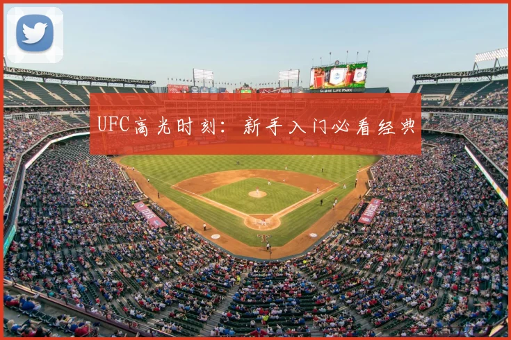 UFC高光时刻：新手入门必看经典