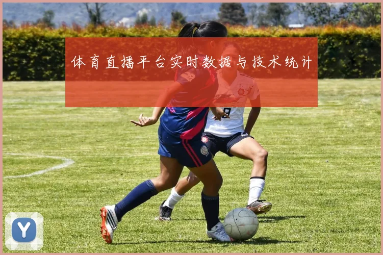 体育直播平台实时数据与技术统计