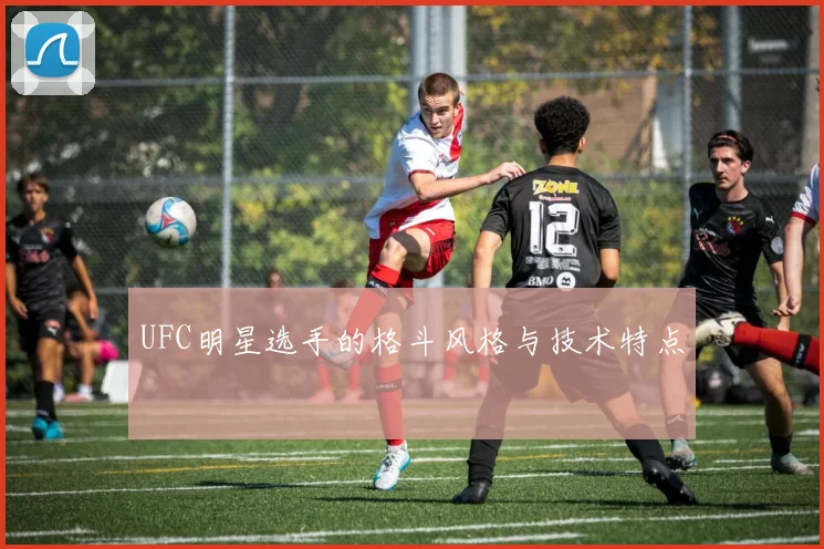 UFC明星选手的格斗风格与技术特点