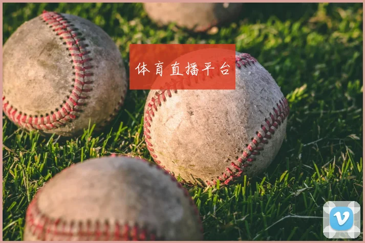 体育直播平台