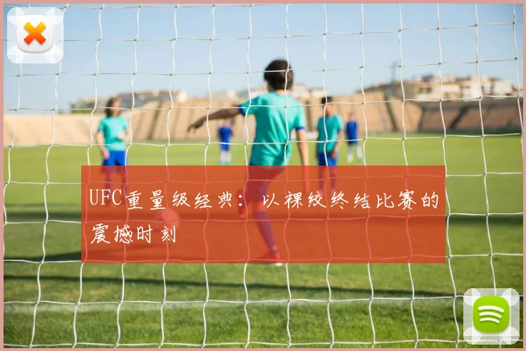 UFC重量级经典:以裸绞终结比赛的震撼时刻